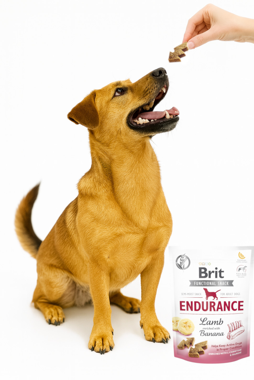 BRIT Care Functional Snack Endurance Lamb - pamlsek pro psa - 150g - foto 3