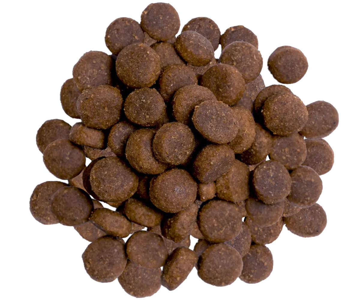 BULT Turkey - suché krmivo pro psy - 3kg - foto 3