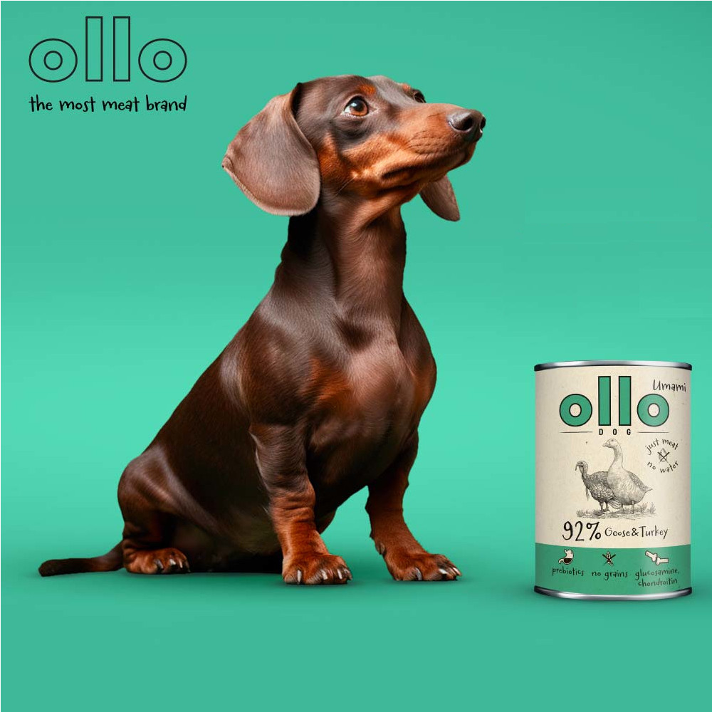 OLLO Umami Goose and turkey - vlhké krmivo pro psy - 850g - foto 4