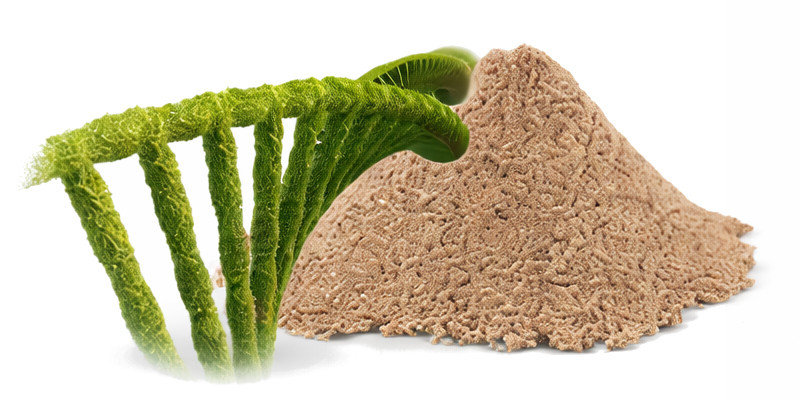 POKUSA RawDietLine Beta-Glucan - doplňky stravy pro psy a kočky - 250g - foto 2