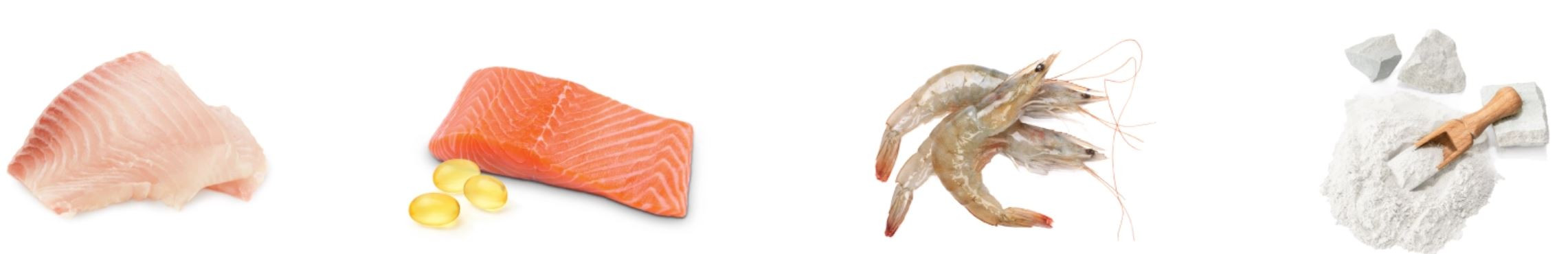 NATURE'S PROTECTION Superior care White Fish Small and mini - suché krmivo pro psy - 4kg - foto 1