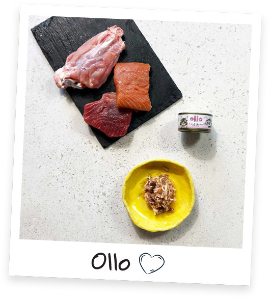 OLLO Cat nr 2 Tuna & Chicken with salmon in broth - mokré krmivo pro kočky - 70g - foto 2