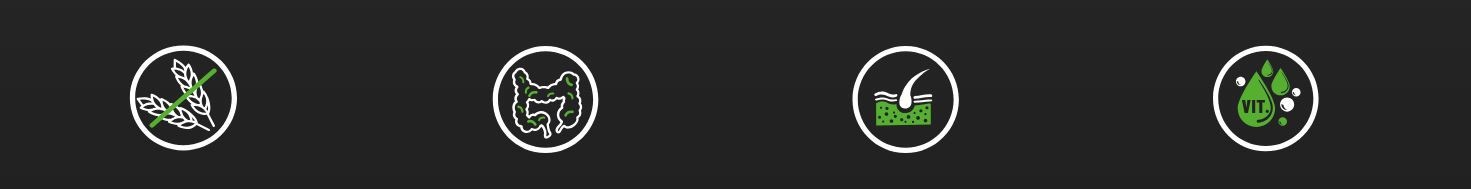 BIOFEED Tasty Dogs Life Lamb - vlhké krmivo pro psy - 500g - foto 1