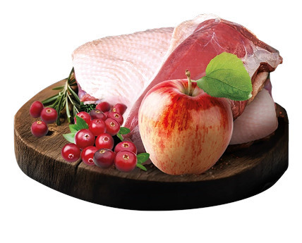 BIOFEED Tasty Dogs Life Duck - vlhké krmivo pro psy - 500g - foto 3