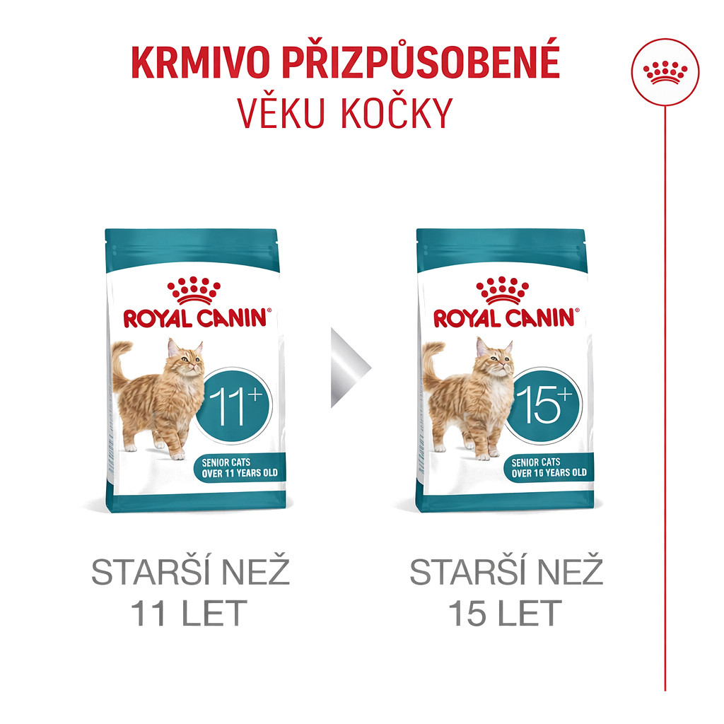 ROYAL CANIN Ageing 11+ - suché krmivo pro kočky - 4kg - foto 8
