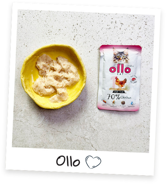 OLLO Cat No. 1 Chicken Mono - mokré krmivo pro kočky - 85g - foto 4