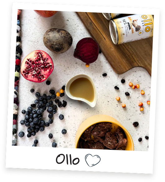 OLLO Plus Collagen Mono Turkey - vlhké krmivo pro psy - 800g - foto 3
