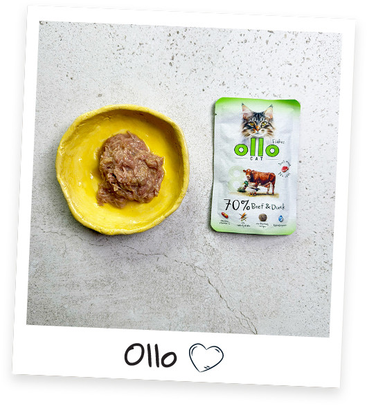 OLLO Cat No. 8 Beef and duck - mokré krmivo pro kočky - 85g - foto 6