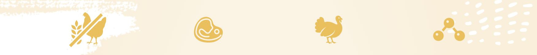 EUPHORIA Fresh Junior Monoprotein Turkey XS/S - suché krmivo pro psy - 500g - foto 1