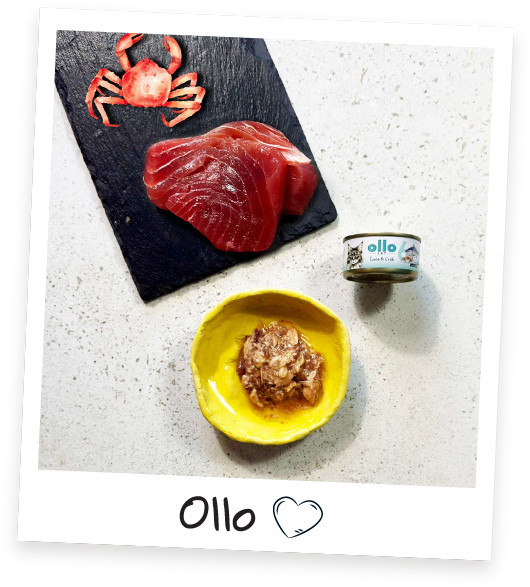 OLLO Cat nr 6 Tuna & Crab in broth - mokré krmivo pro kočky - 70g - foto 2