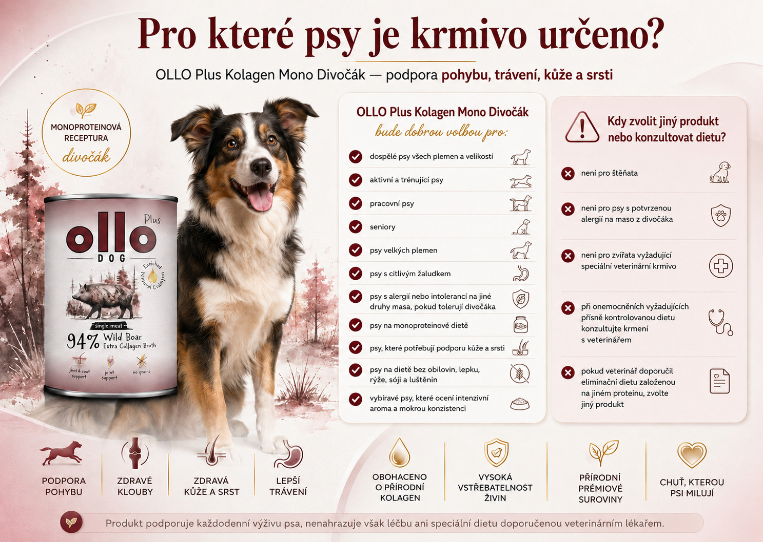 OLLO Plus Collagen Mono Wild boar - vlhké krmivo pro psy - 400g - foto 5