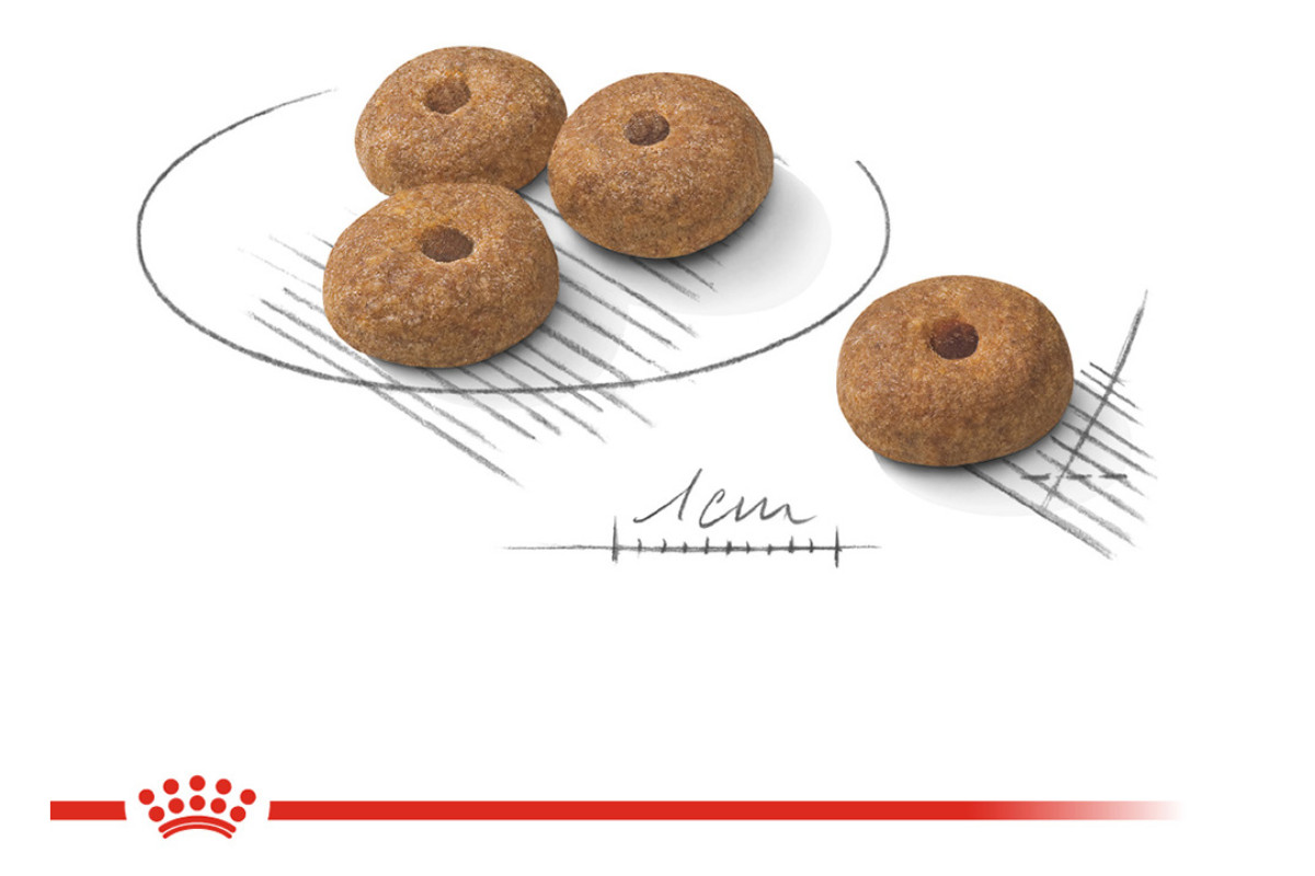 Royal Canin CCN MINI STERILISED - suché krmivo pro dospělé psy - 3kg - foto 2