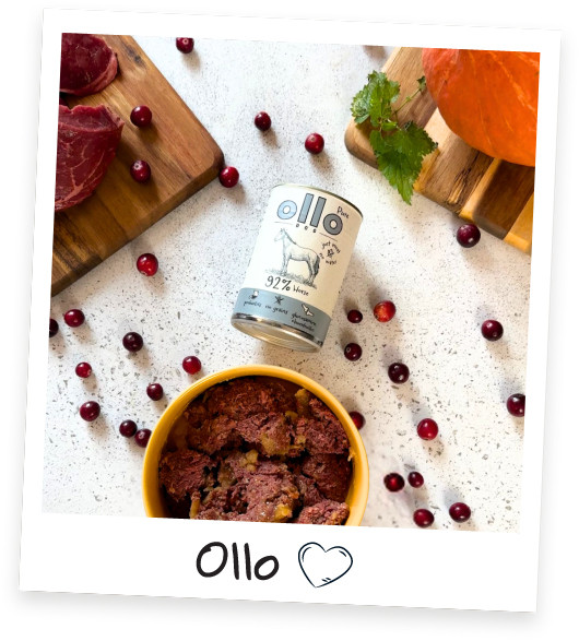 OLLO Pure Kůň Mono - mokré krmivo pro psy - 850g - foto 2