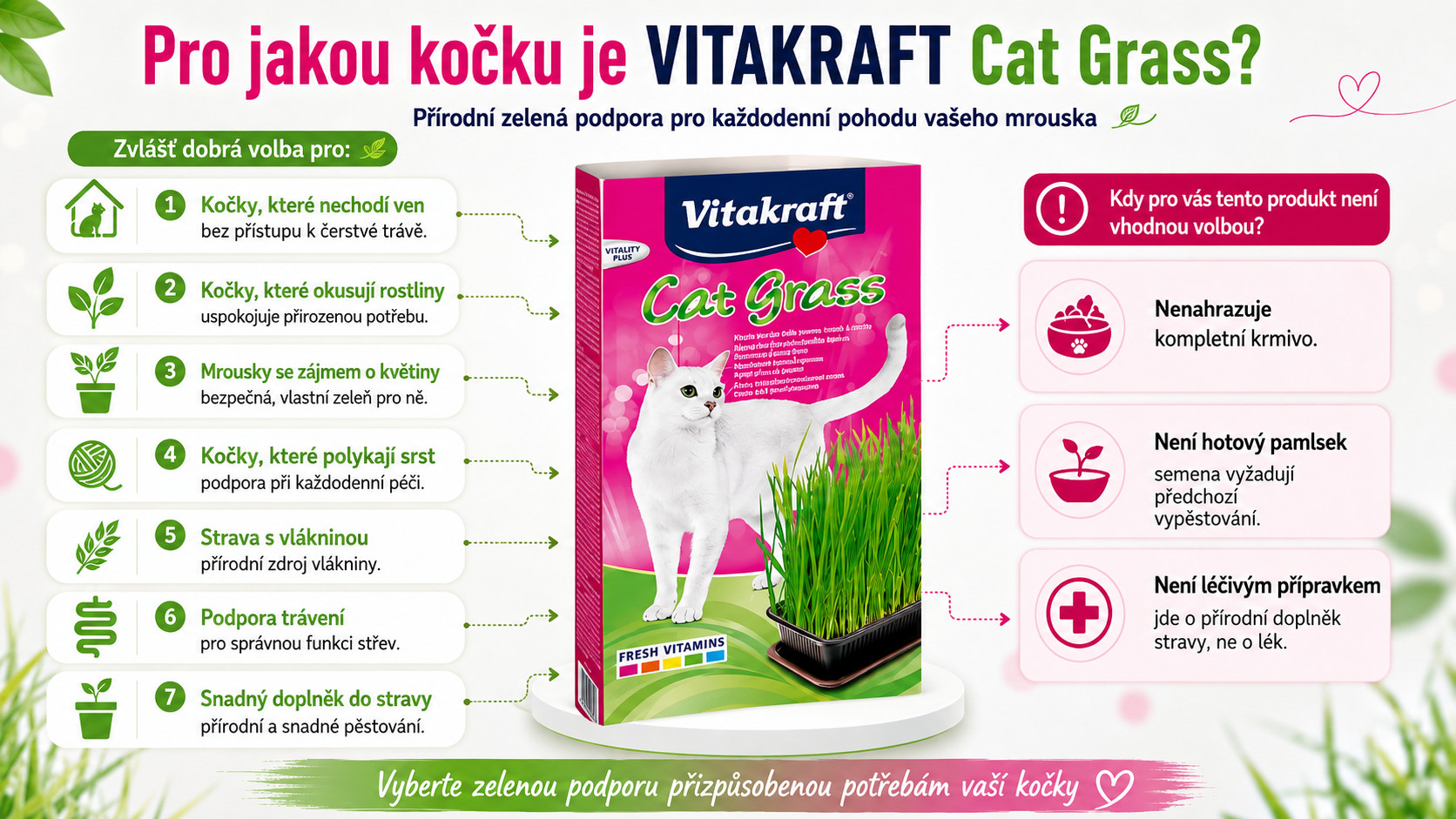 VITAKRAFT Cat Grass - travní semena - 50 g - foto 2