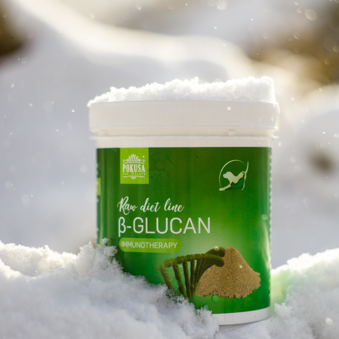 POKUSA RawDietLine Beta-Glucan - doplňky stravy pro psy a kočky - 250g - foto 4