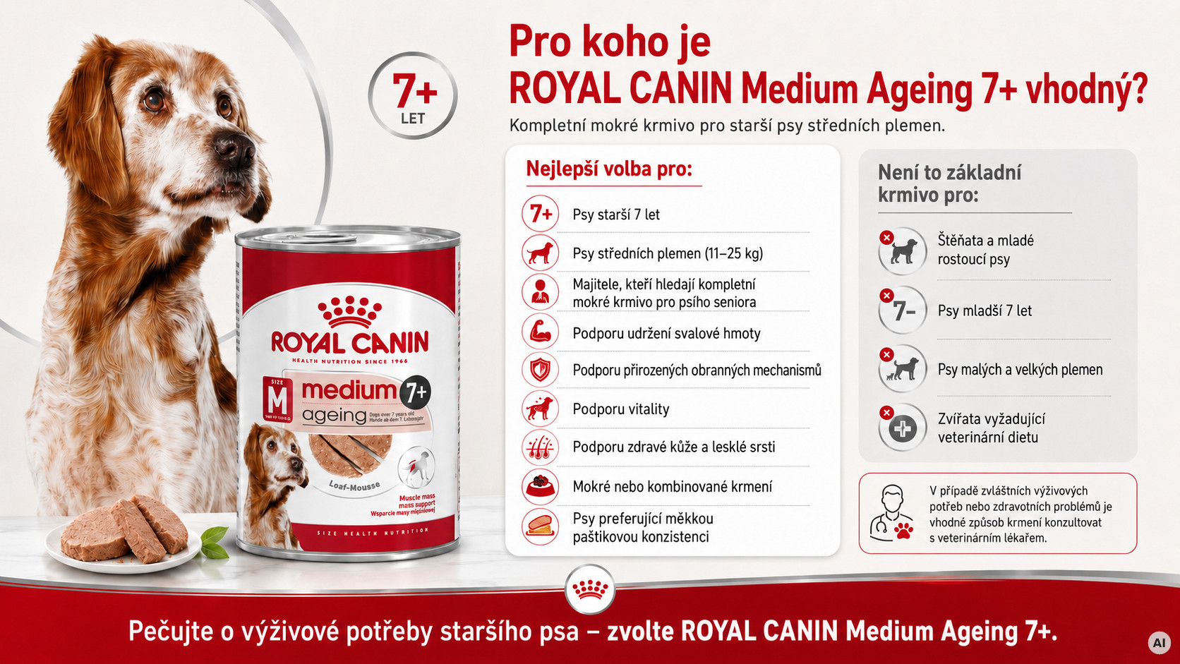 ROYAL CANIN Medium Ageing 7+ mokré krmivo, paštika pro starší psy středních plemen od 7 let věku. - foto 2
