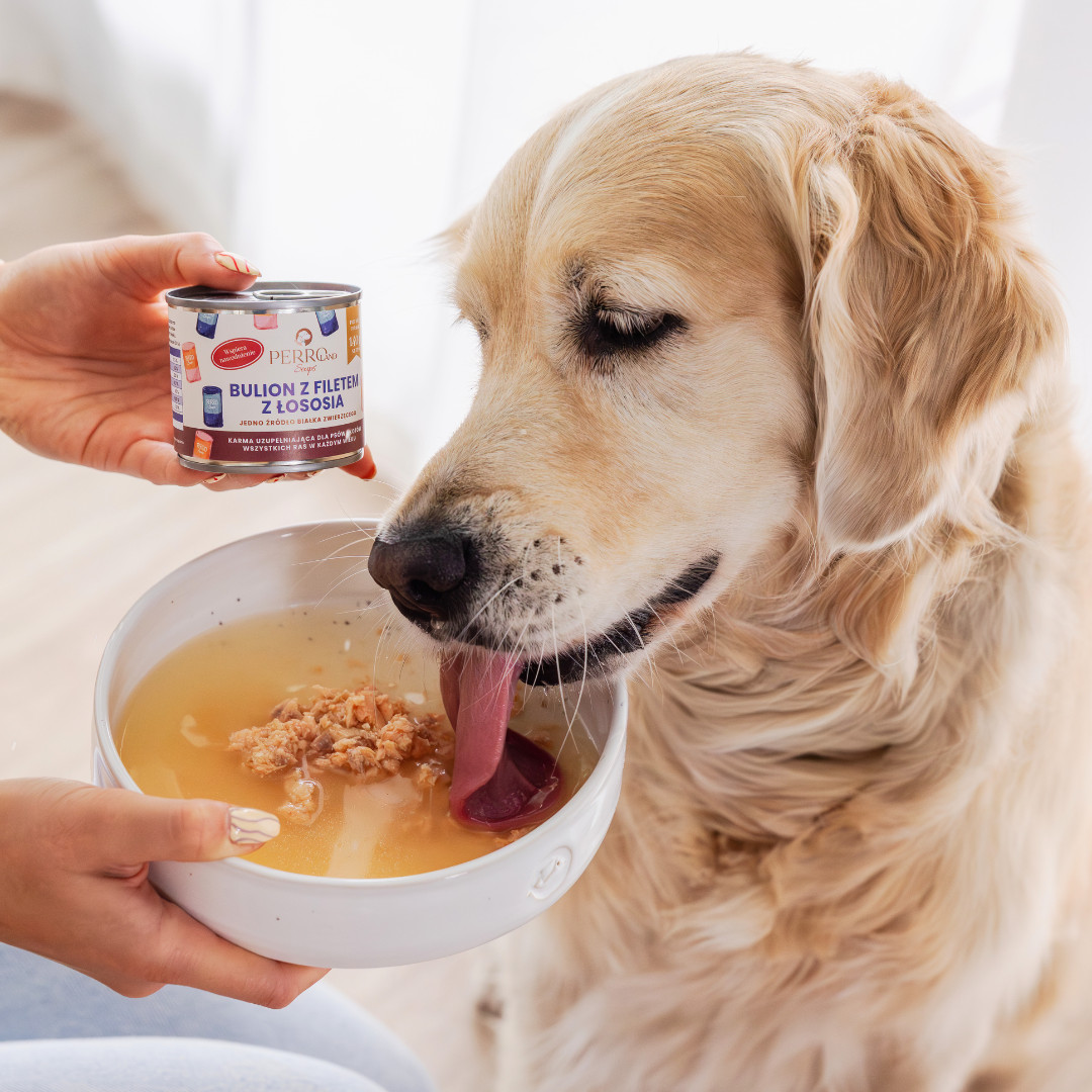 PERRO PERROland Soups Broth with salmon fillet Mono - pamlsek pro psy a kočky - 140 g - foto 2
