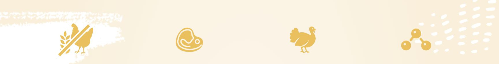 EUPHORIA Fresh Adult Monoprotein Turkey XS/S - suché krmivo pro psy - 500g - foto 1