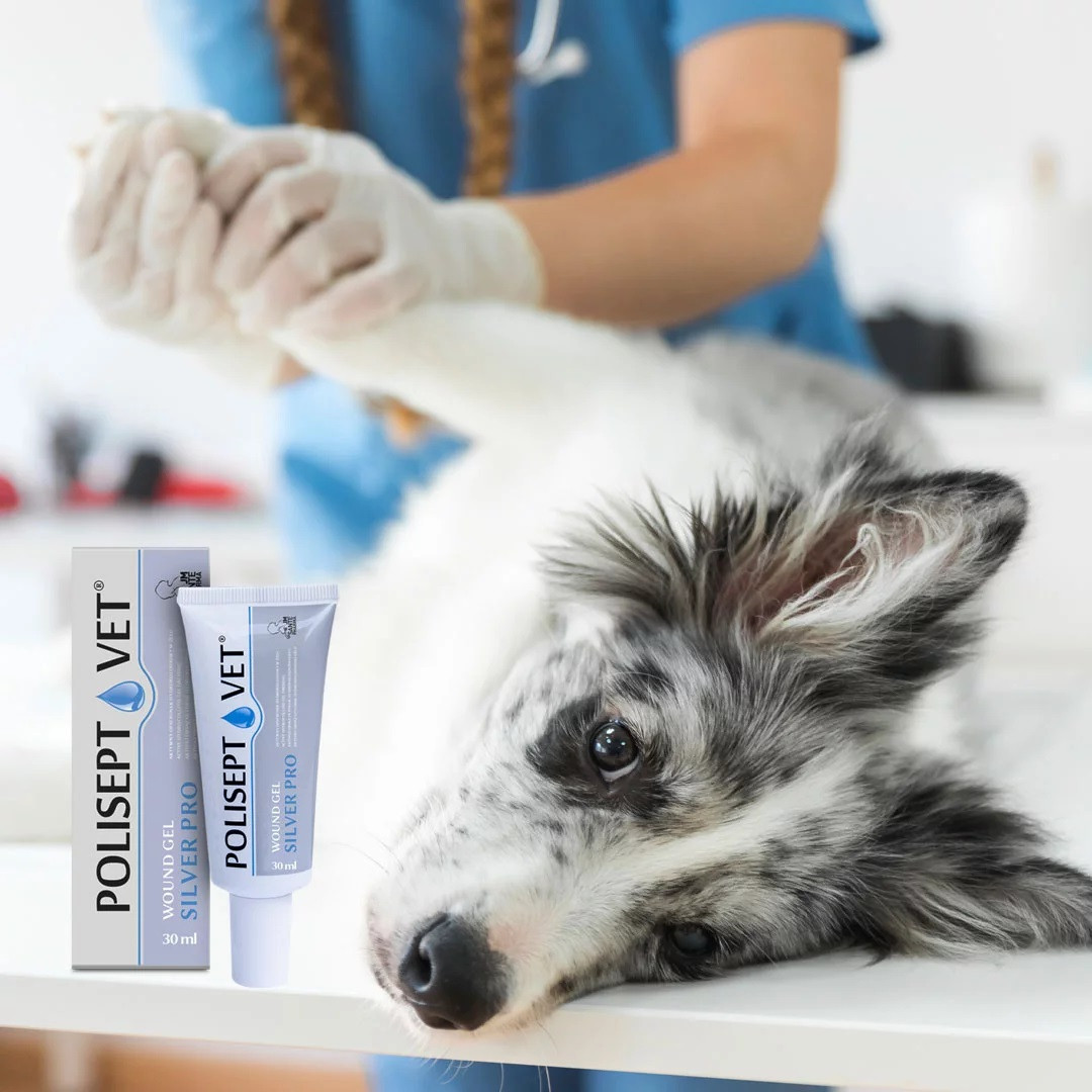 JM SANTE Polisept Vet Wound gel Silver Pro - gelový obvaz pro psy a kočky – 30 ml - foto 1