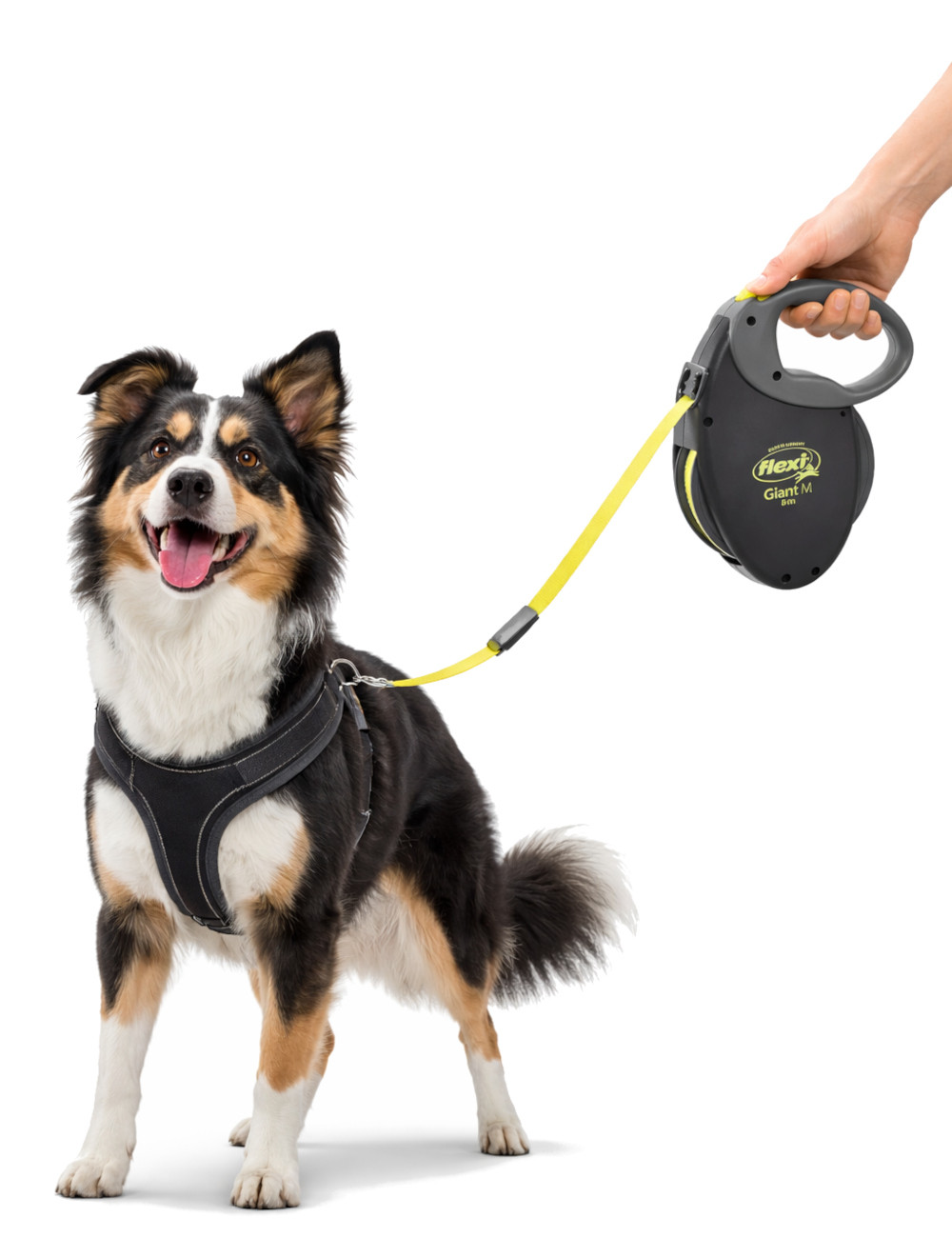 TRIXIE NEON GIANT M 8 m Černá, Žlutá Pes Zatahovací vodítko - foto 5