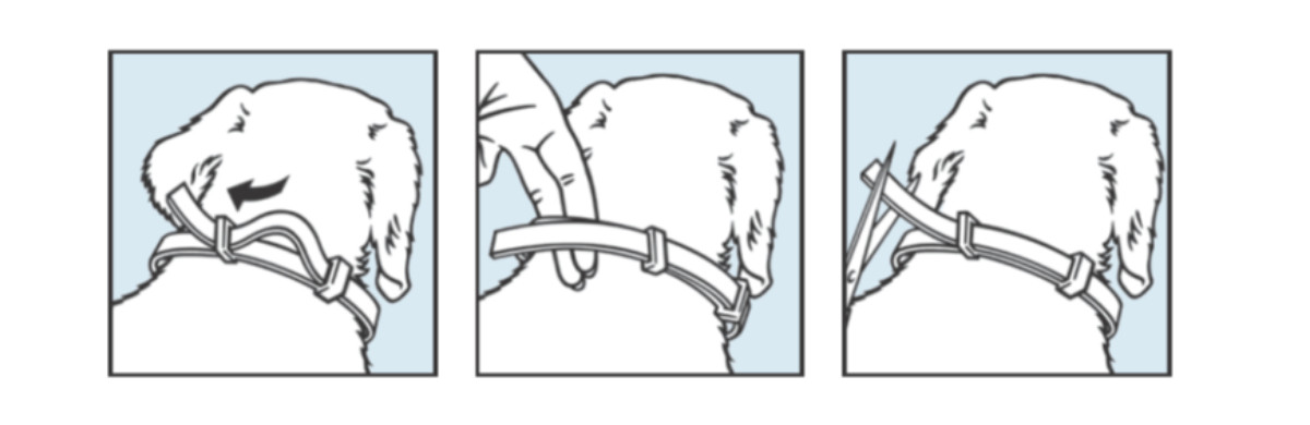 ELANCO Foresto obojek pro psy nad 8 kg - foto 3