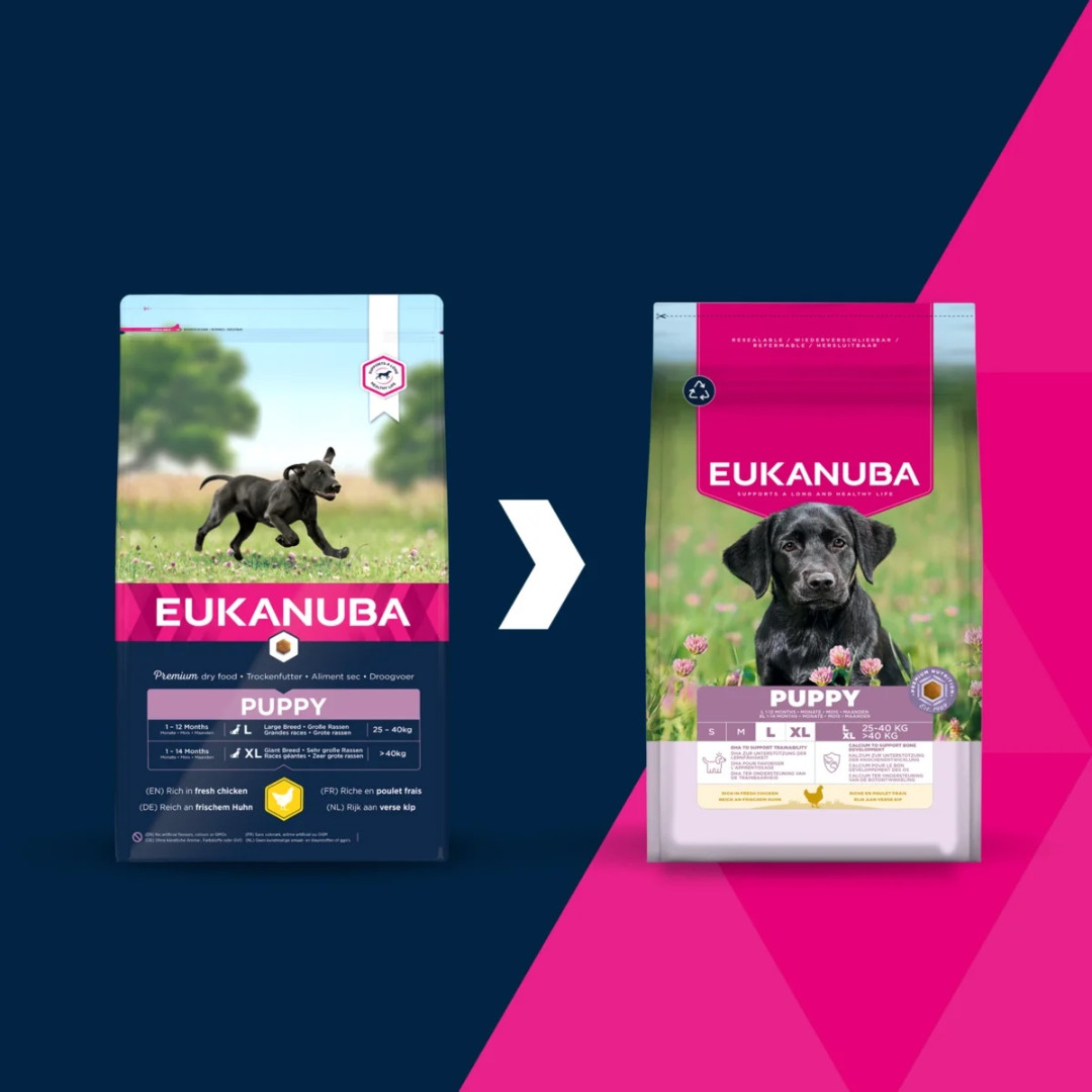 EUKANUBA Puppy L XL Rich in chicken - suché krmivo pro psy - 15kg - foto 4