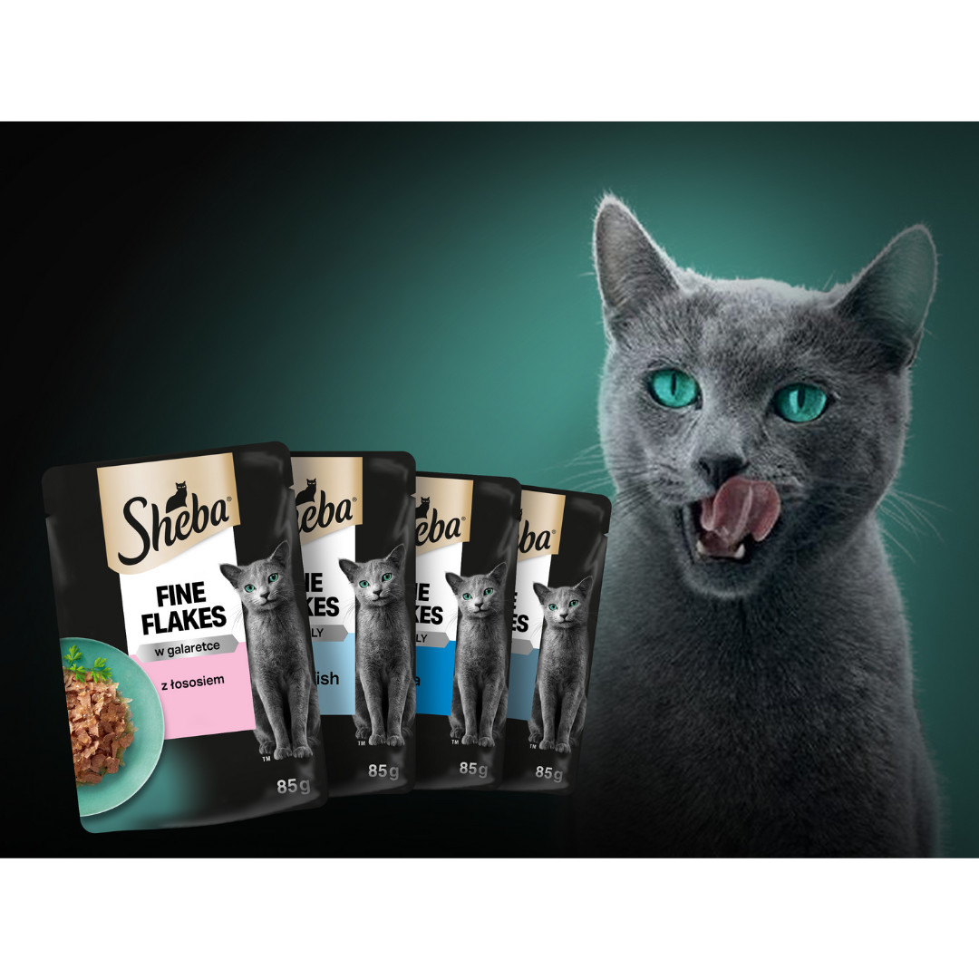 SHEBA Delicacy Rybí příchuť v želé - vlhké krmivo pro kočky - 80x 85g - foto 4