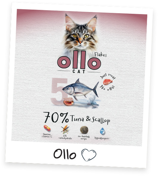 OLLO Cat No. 5 Tuna and scallop - mokré krmivo pro kočky - 85g - foto 7