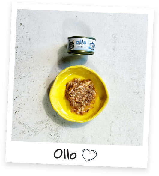 OLLO Cat nr 5 Tuna & Salmon in broth - mokré krmivo pro kočky - 70g - foto 4