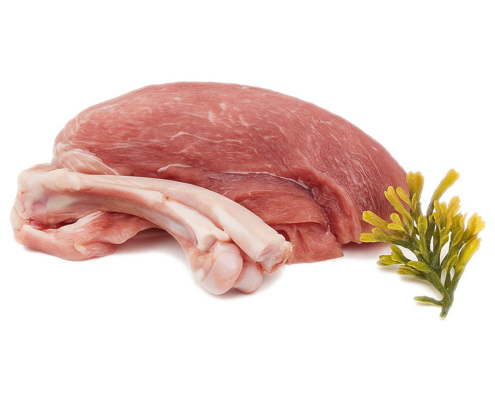 OLLO Air Dried Dental Turkey Strips - pamlsek pro psa - 80g - foto 2