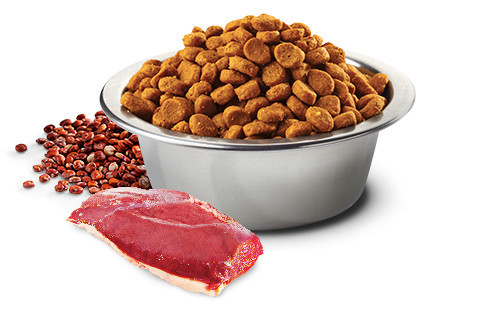 FARMINA N&D Quinoa Urinary Duck - suché krmivo pro kočky - 5kg - foto 3