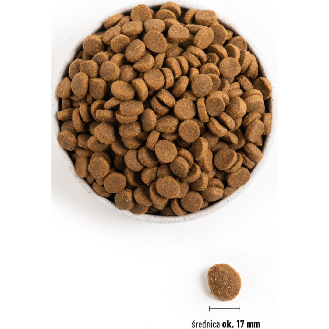 ACANA Dog Adult Large breed - suché krmivo pro psy - 17kg - foto 3