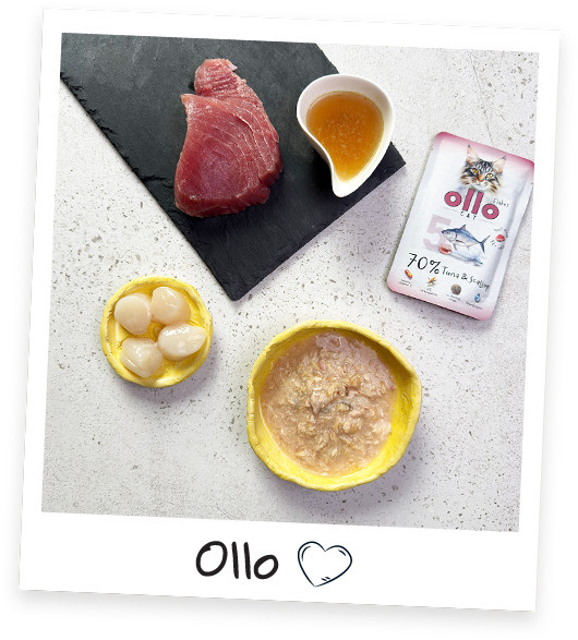 OLLO Cat No. 5 Tuna and scallop - mokré krmivo pro kočky - 85g - foto 2
