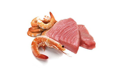 FARMINA N&D Ocean Tuna & Shrimp Adult - vlhké krmivo pro kočky - 70 g - foto 3