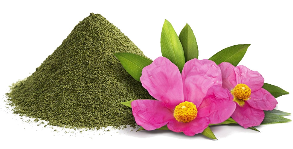 POKUSA RawDietLine Cistus - doplňky stravy pro psy a kočky - 500g - foto 2