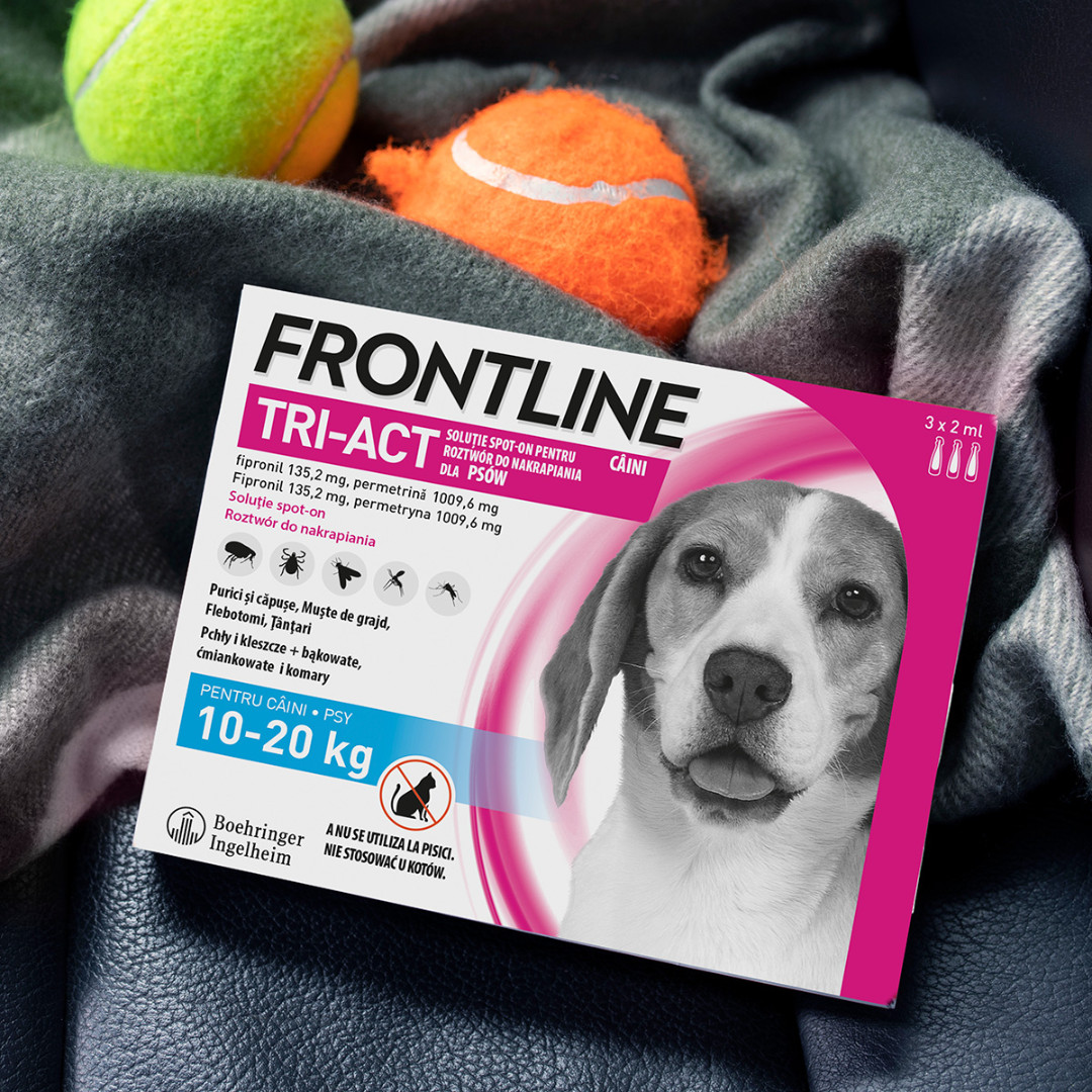 FRONTLINE Tri-Act M kapky proti parazitům pro psy 10-20 kg, 3 x 2 ml - foto 2