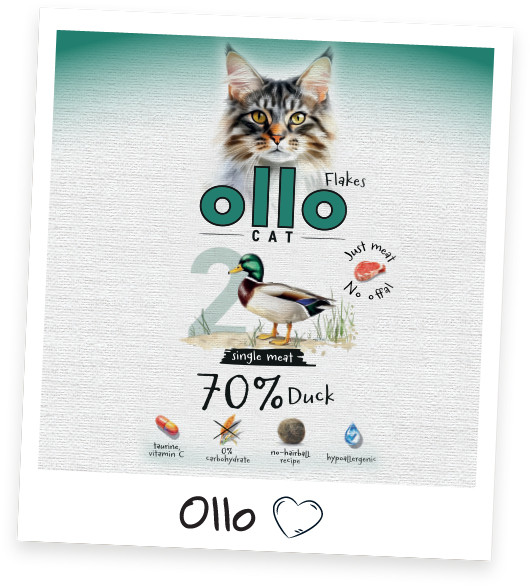 OLLO Cat No. 2 Duck Mono - mokré krmivo pro kočky - 85g - foto 7