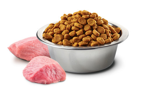 FARMINA N&D Pumpkin Lamb&Blueberry Puppy Mini - suché krmivo pro psy - 7kg - foto 2