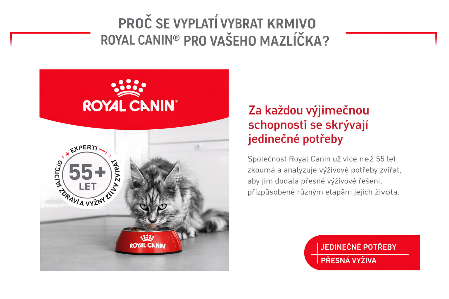 ROYAL CANIN Ageing 11+ Sterilised - suché krmivo pro kočky - 4kg - foto 7
