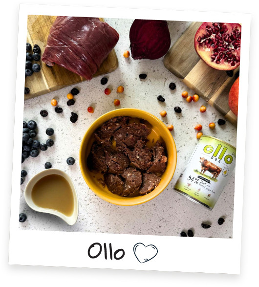 OLLO Plus Collagen Mono Beef - vlhké krmivo pro psy - 800g - foto 1
