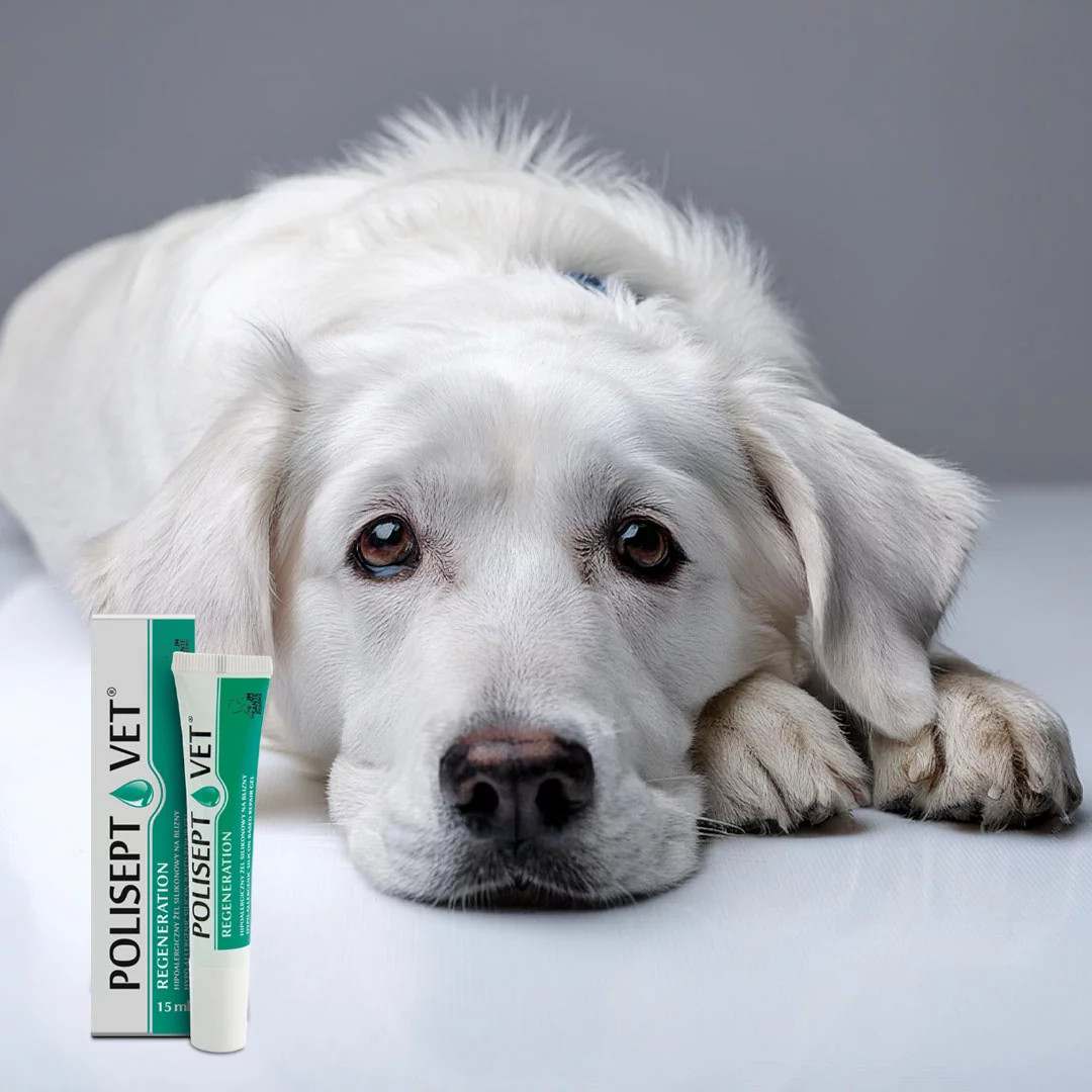 JM SANTE Polisept Vet Regeneration - ochranný gel pro psy a kočky – 15 ml - foto 1