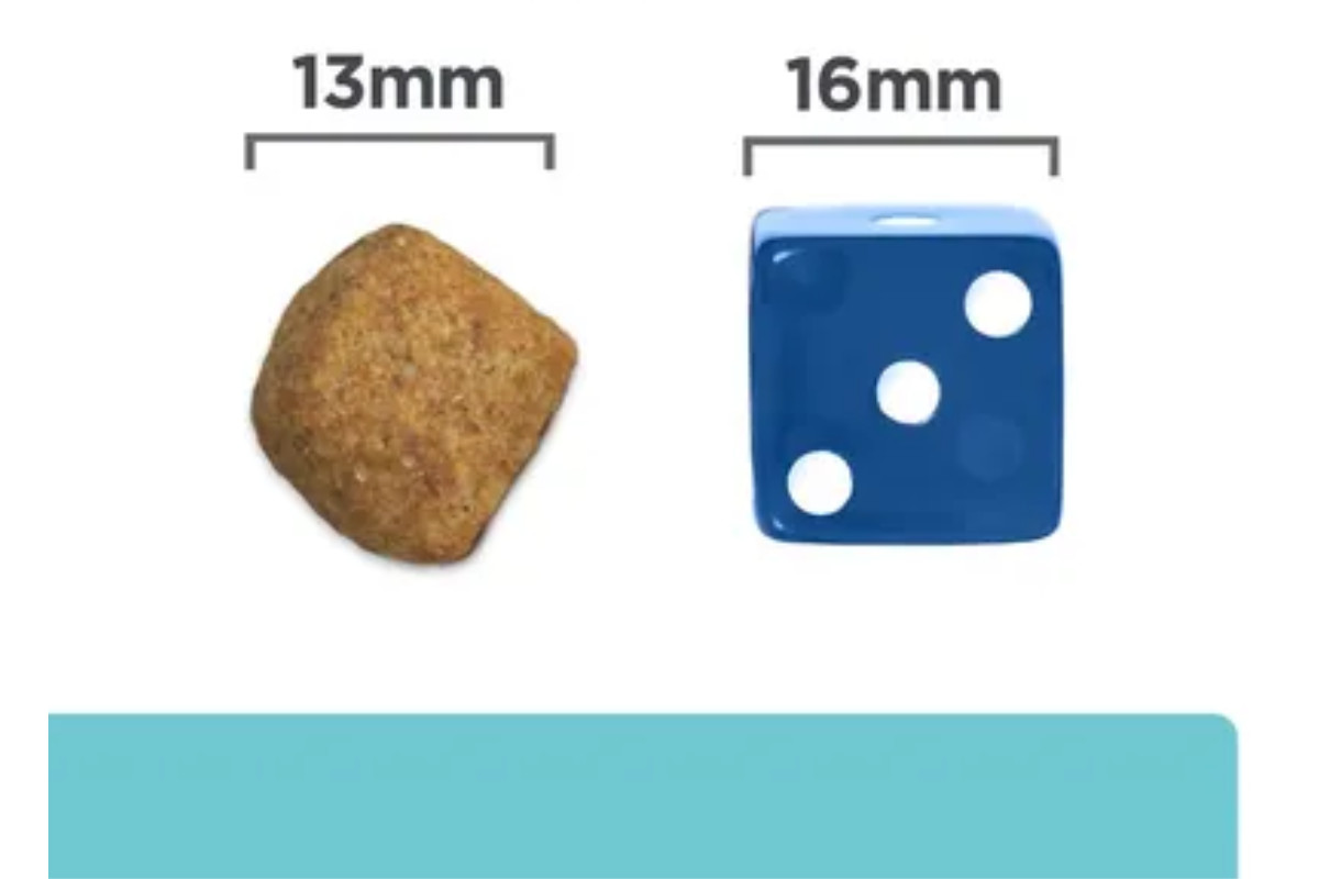 HILL'S PRESCRIPTION DIET Feline t/d Suché krmivo pro kočky Kuřecí maso 1,5 kg - foto 3