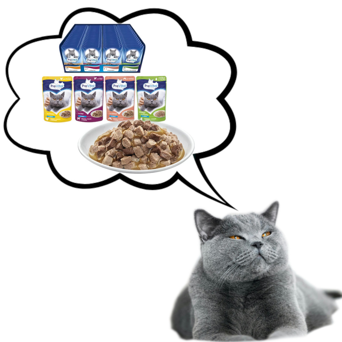 PREVITAL Cat Food Mix 4 Příchutě Kuře, Telecí, Losos, Drůbež – mokré krmivo pro kočky – 96 x 100 g - foto 3