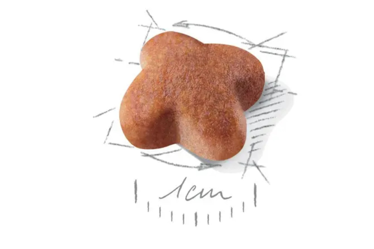 ROYAL CANIN Jack Russell Adult - Suché krmivo pro psy - 7,5 kg - foto 2