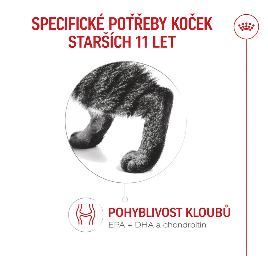 ROYAL CANIN Ageing 11+ - suché krmivo pro kočky - 4kg - foto 6