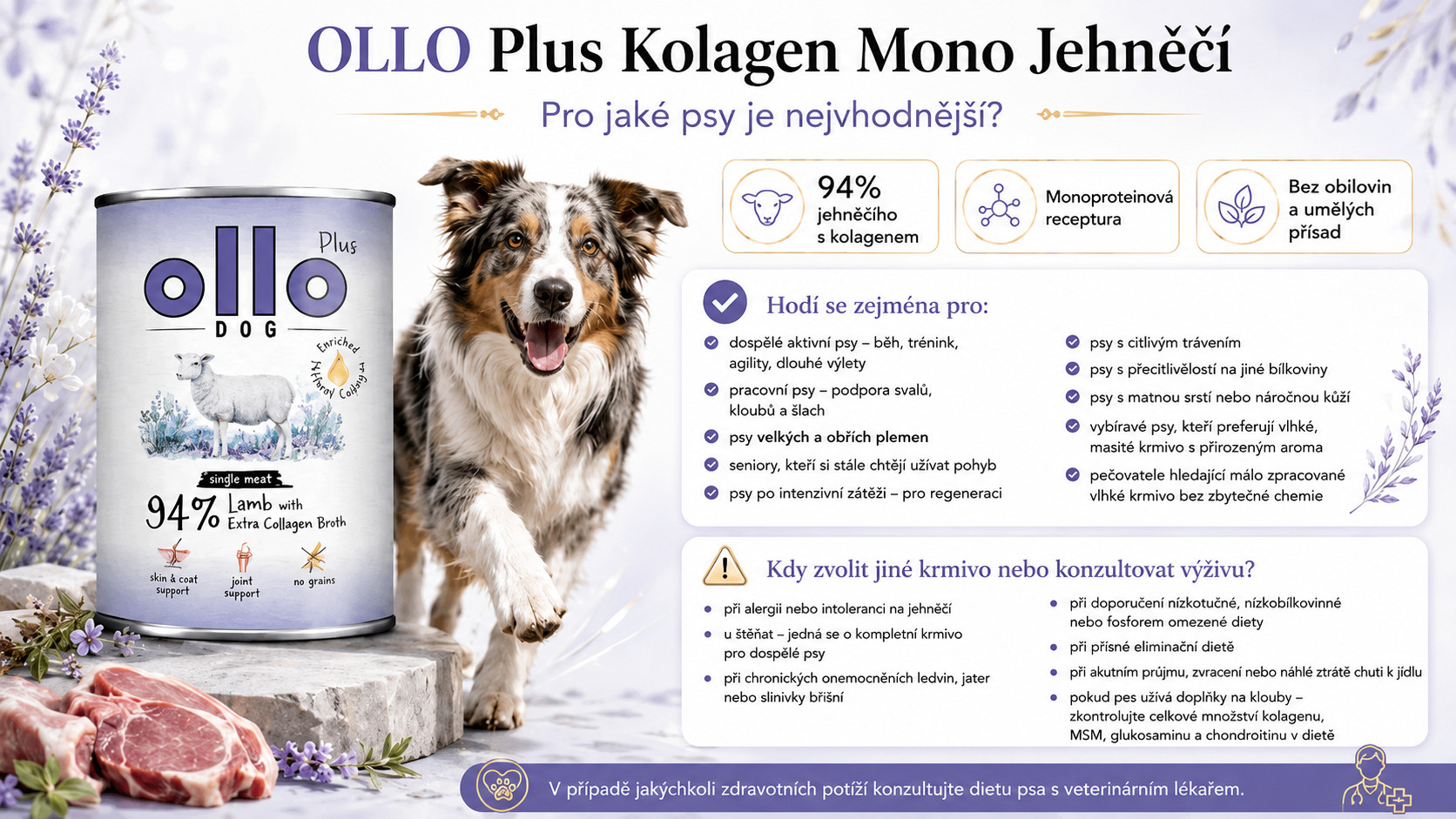 OLLO Plus Collagen Mono Lamb - vlhké krmivo pro psy - 400g - foto 5