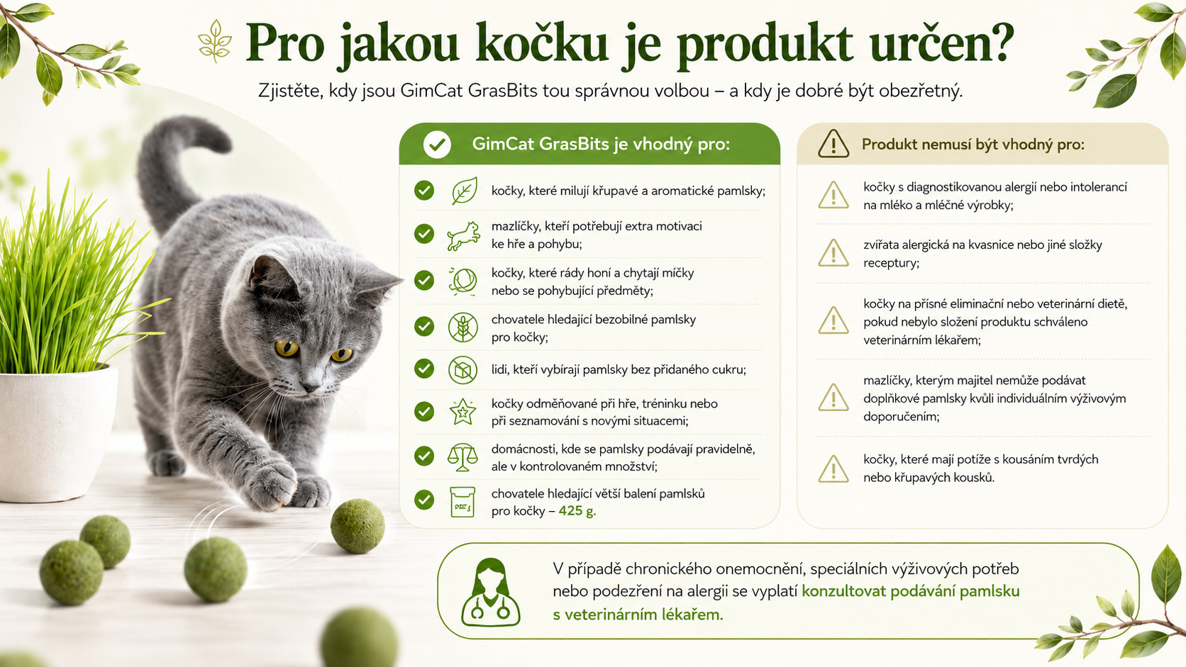 GIMCAT GrasBits Křupavé travní kousky – pamlsek pro kočku – 425g - foto 2