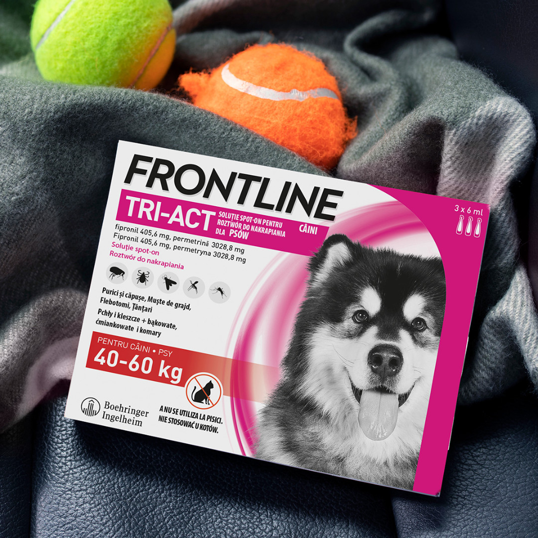 FRONTLINE Tri-Act XL kapky proti parazitům pro psy 40-60 kg,- 3 x 6 ml - foto 2