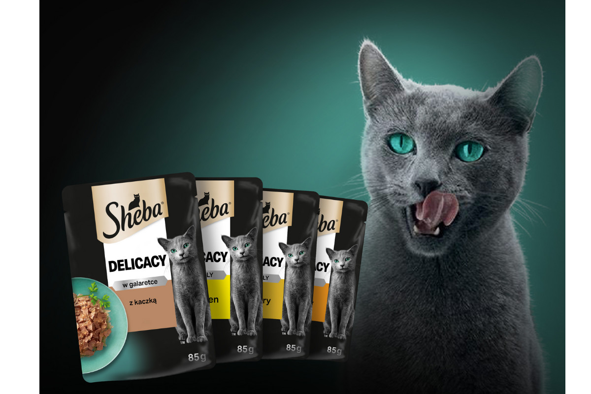 SHEBA Delicacy drůbeží příchutě v želé - vlhké krmivo pro kočky - 80x 85 g - foto 3