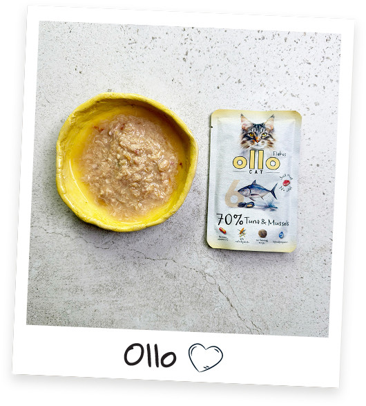 OLLO Cat No. 6 Tuna and mussels - mokré krmivo pro kočky - 85g - foto 6